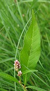 IMG_2503