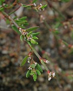 IMG_3927