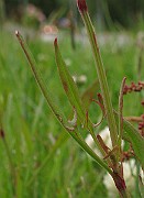 IMG_6380b