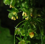 IMG_2626