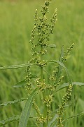 IMG_0507