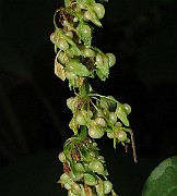 IMG_0379