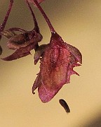 IMG_0850