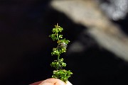 IMG_2589