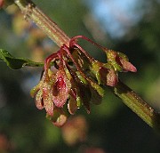 IMG_8883