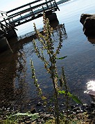IMG_8886