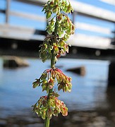 IMG_8892