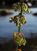 IMG_8893