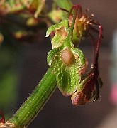 IMG_8935