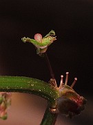 IMG_8956