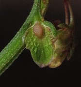 IMG_8960