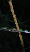 IMG_8699