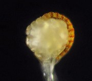IMG_3095