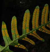 IMG_3626