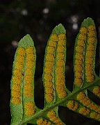 IMG_3627