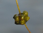 IMG_4966