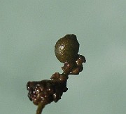 IMG_6302