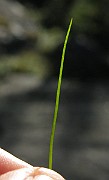 IMG_6305