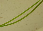 IMG_6311