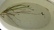 IMG_6316