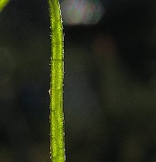 IMG_6319