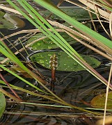 IMG_5152