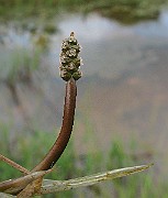 IMG_5155