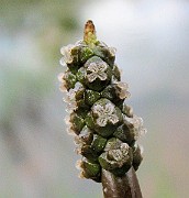 IMG_5159