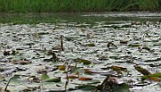IMG_5163