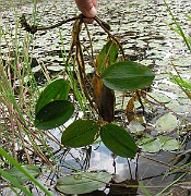 IMG_5164