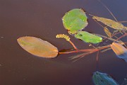 IMG_6770