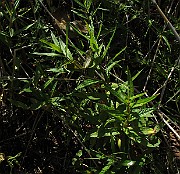 IMG_9741