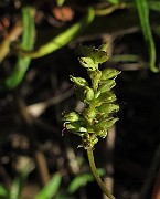 IMG_9742