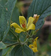 IMG_3195