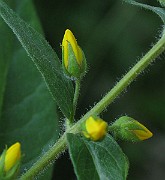 IMG_3849