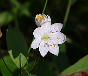 IMG_9928