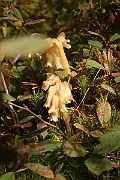 IMG_1017