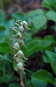IMG_2507