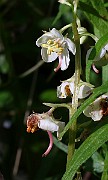 IMG_9867