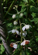 IMG_9868