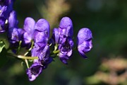 IMG_2030