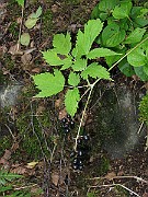IMG_3176