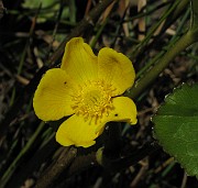 IMG_8086