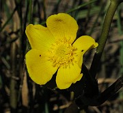 IMG_8090