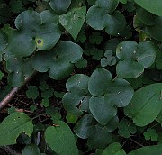 IMG_3280