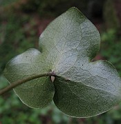 IMG_3281