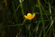 IMG_6344