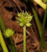 IMG_6354