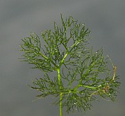 IMG_2664