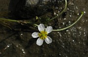IMG_4636